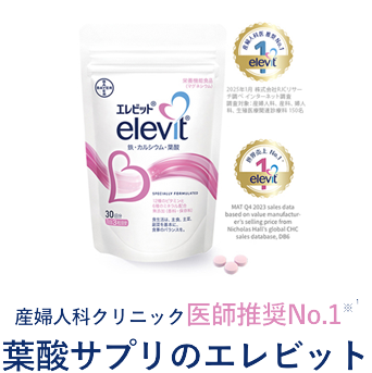 エレビット