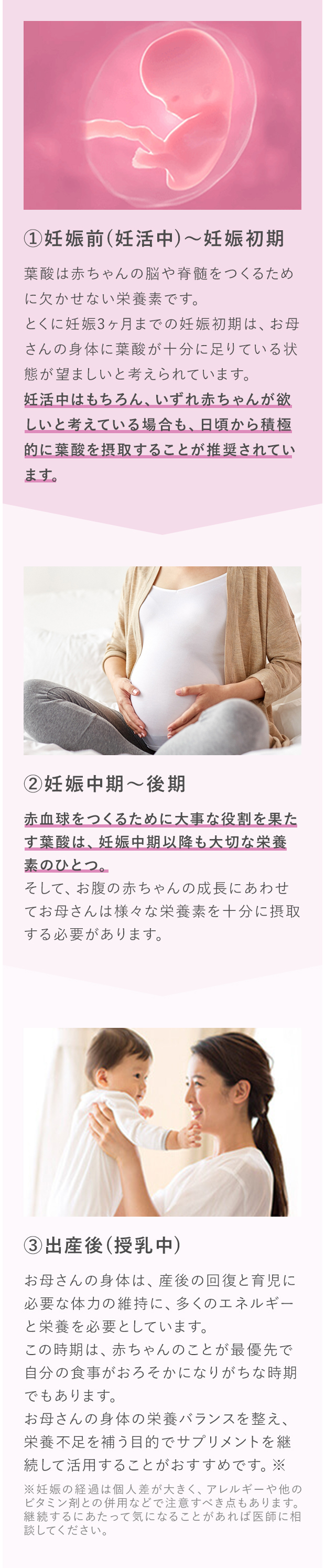 妊娠ステージごとの葉酸を摂る目的