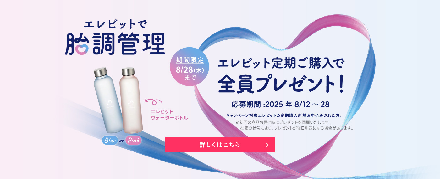 【2024.12月購入】エレビット3袋 Amazon | 【公式】 エレビット 葉酸 サプリ 90粒×3袋 90日分【妊