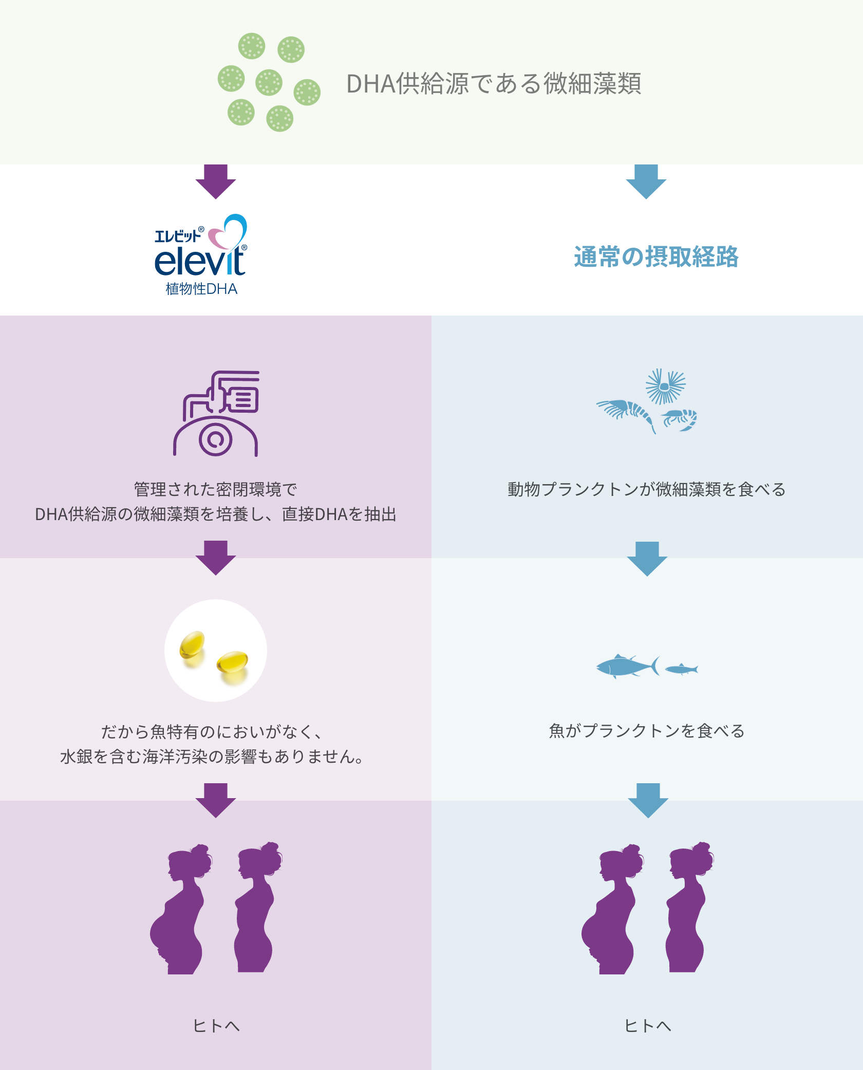 水銀リスクフリー