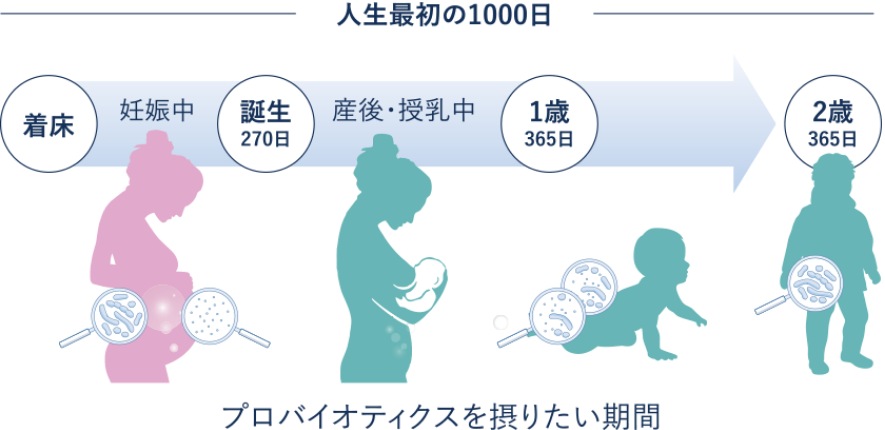 プロバイオティクスを摂りたい期間 人生最初の100日 着床 → 妊娠 → 誕生270日 →産後・授乳中 → 1歳365日 → 2歳365日 
