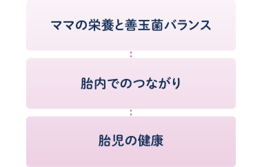 ママの栄養と善玉菌バランス → 胎内でのつながり → 胎児の健康