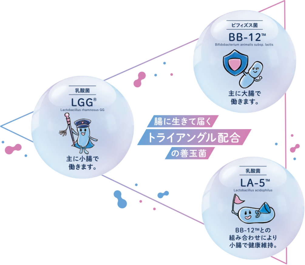 ビフィズス菌BB-12 / 乳酸菌LGG / 乳酸菌LA-5 のトライアングル配合