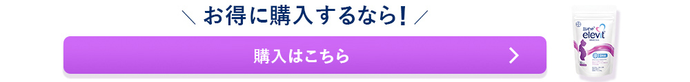 ご購入はこちら