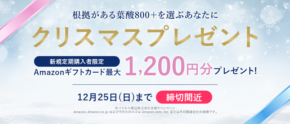 クリスマスプレゼント