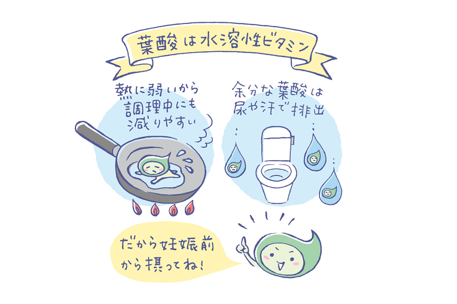 葉酸サプリならエレビット(elevit) | バイエル公式オンライン