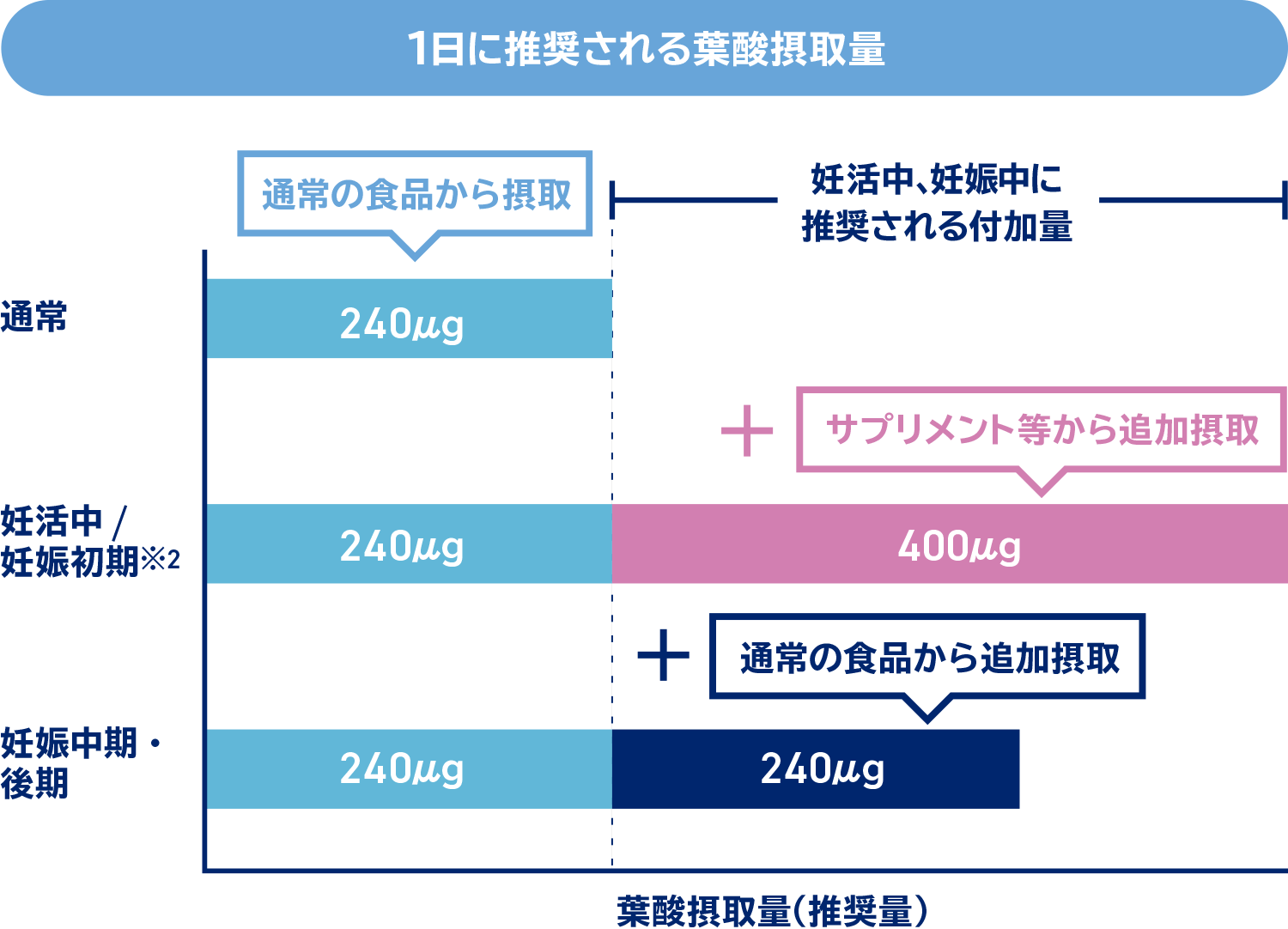 1日に推奨される葉酸摂取量は、通常時には、通常の食品から240マイクログラムを摂取することが推奨されています。妊活中および妊娠初期※2には、通常の食品から240マイクログラムを摂取することに加え、サプリメント等からさらに400マイクログラムを追加摂取することが推奨されています。妊娠中期から後期にかけては、通常の食品から240マイクログラムを摂取することに加え、通常の食品からさらに240マイクログラムを追加摂取することが推奨されています。