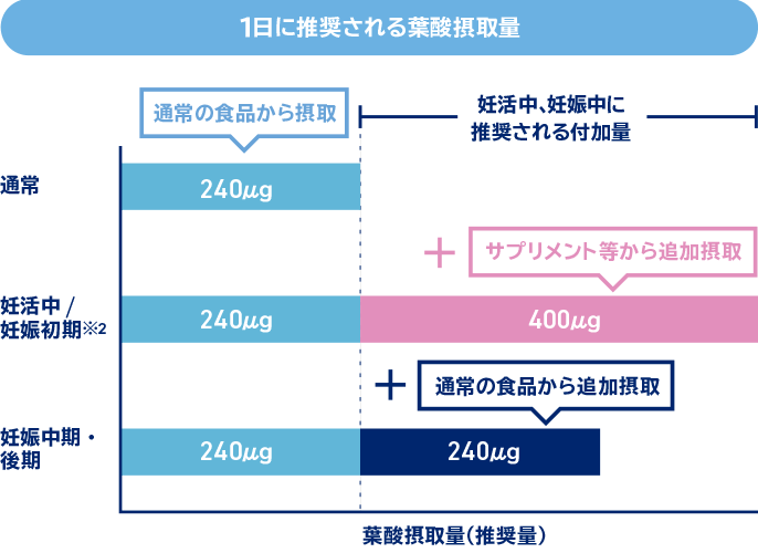 1日に推奨される葉酸摂取量は、通常時には、通常の食品から240マイクログラムを摂取することが推奨されています。妊活中および妊娠初期※2には、通常の食品から240マイクログラムを摂取することに加え、サプリメント等からさらに400マイクログラムを追加摂取することが推奨されています。妊娠中期から後期にかけては、通常の食品から240マイクログラムを摂取することに加え、通常の食品からさらに240マイクログラムを追加摂取することが推奨されています。