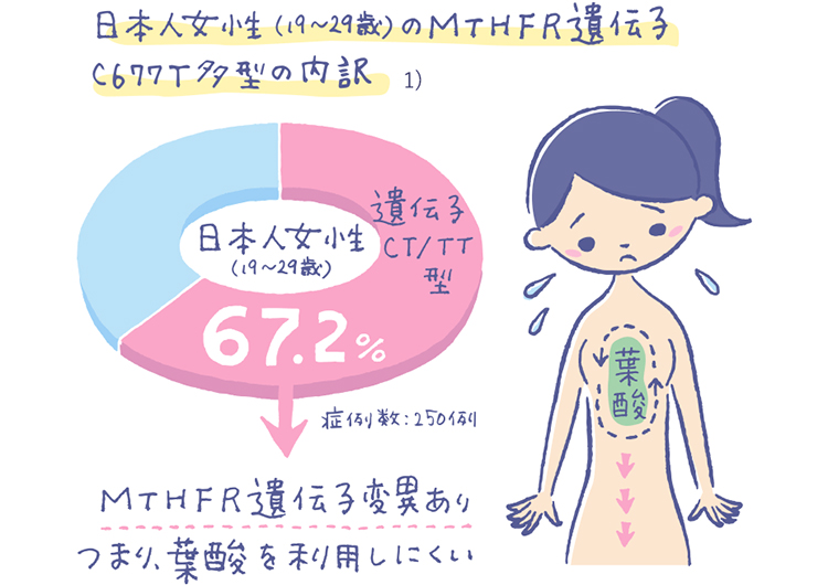 葉酸をたっぷりサプリメントから摂取する理由