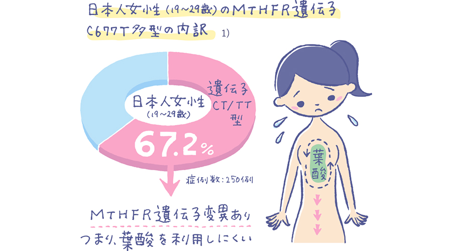 葉酸をたっぷりサプリメントから摂取する理由