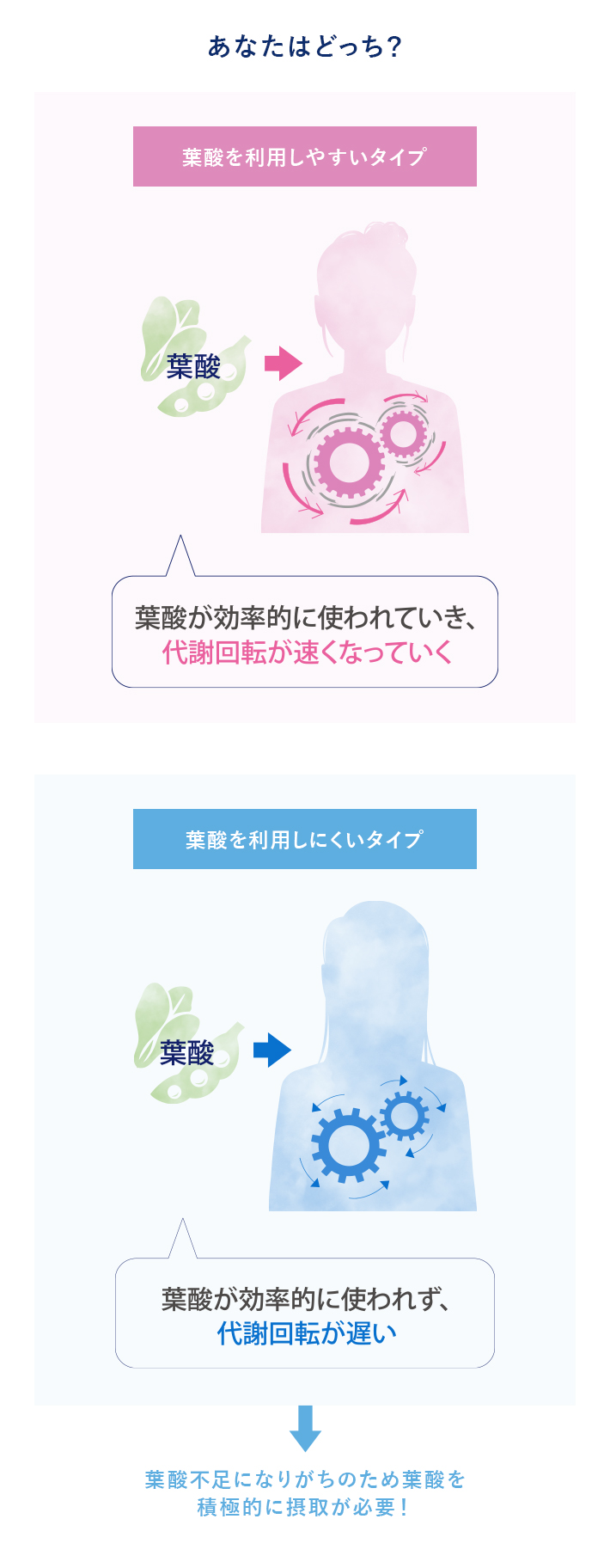 あなたはどっち?