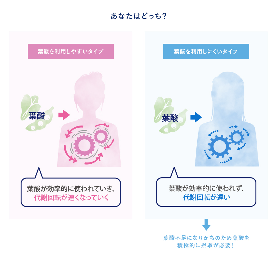 あなたはどっち?