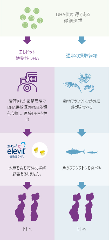 DHAの供給源である微細藻類を培養し直接DHAを抽出しているので持続的な供給が可能。