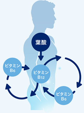女性の妊活に欠かせない「葉酸」は男性にも大切な栄養素