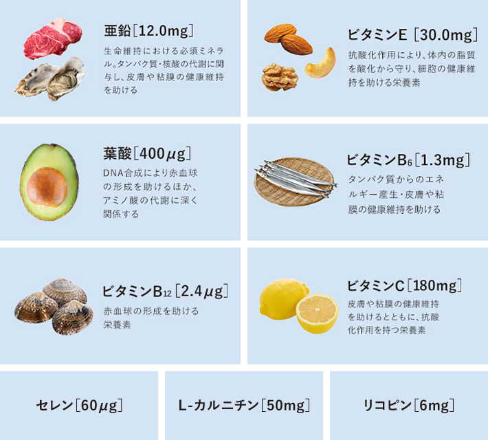 メネビットの栄養素