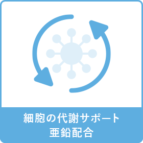 細胞の代謝サポート亜鉛配合