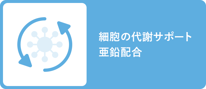 細胞の代謝サポート亜鉛配合
