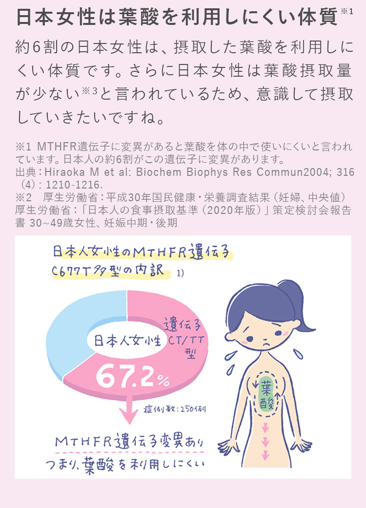 日本女性は葉酸を利用しにくい体質
