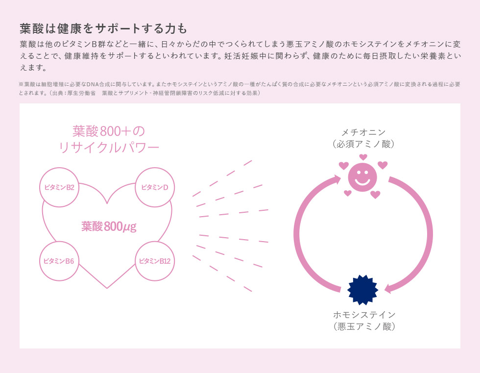葉酸はからだを作るだけでなく、健康をサポートする力も