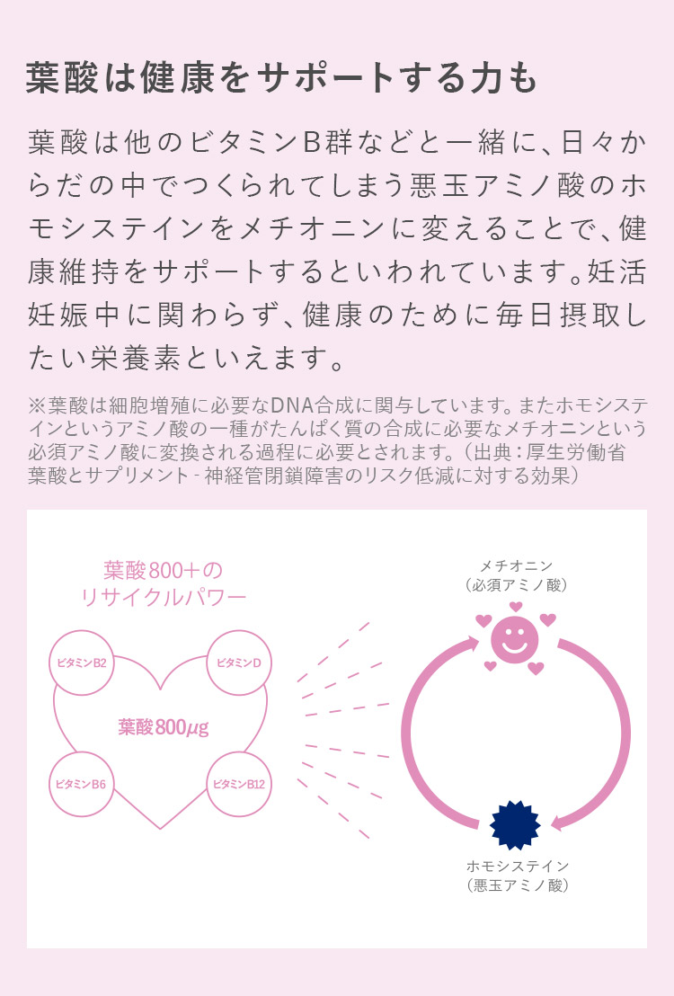 葉酸はからだを作るだけでなく、健康をサポートする力も