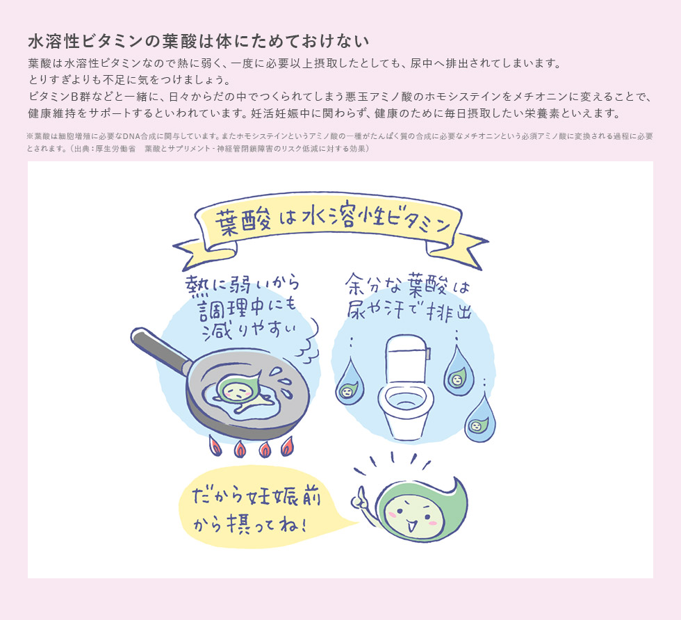 水溶性ビタミンの葉酸は体にためておけない