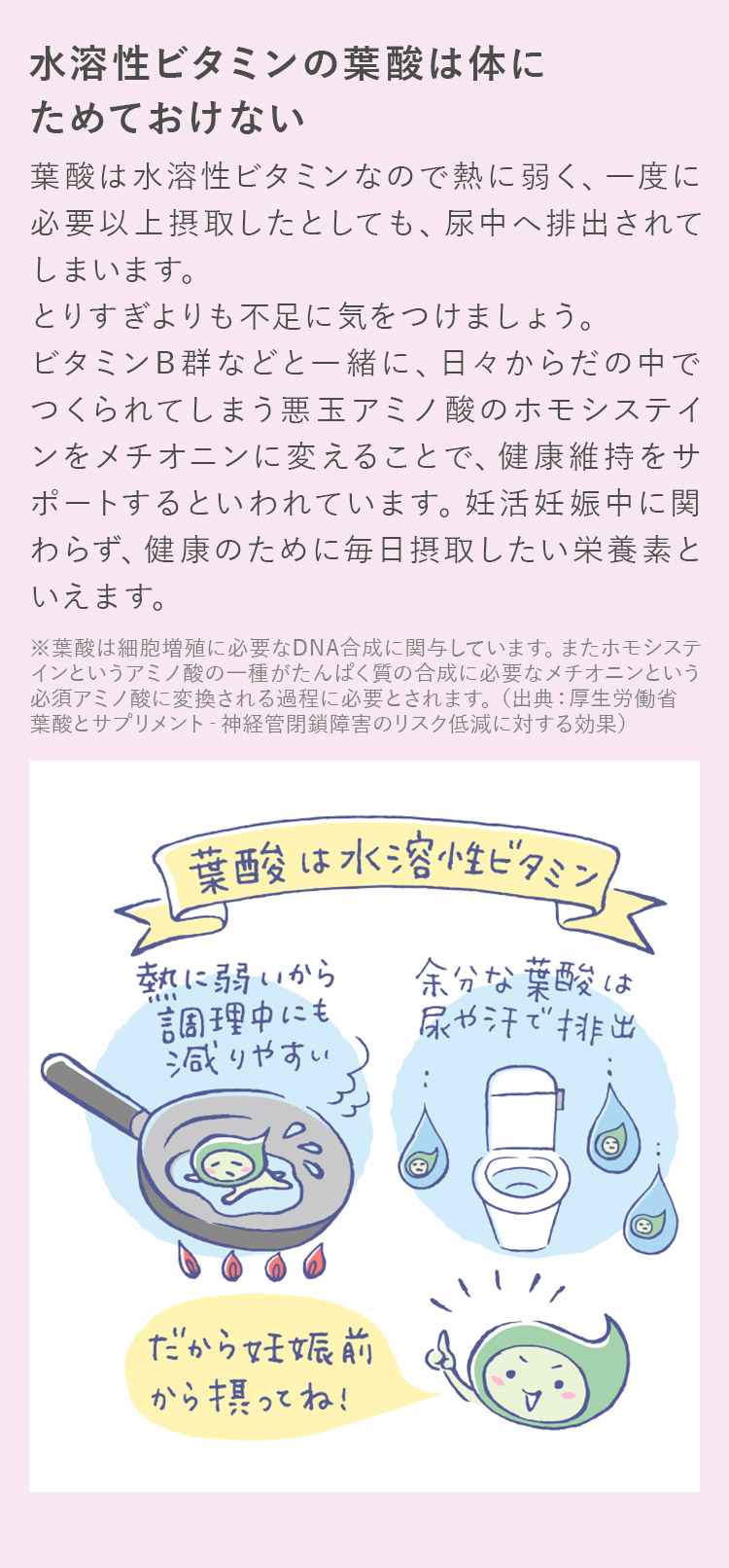 水溶性ビタミンの葉酸は体にためておけない