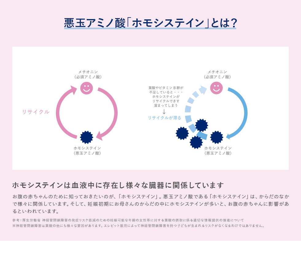 悪玉アミノ酸「ホモシステイン」とは？