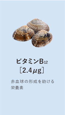 ビタミンB12［2.4μg］赤血球の形成を助ける栄養素