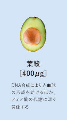 葉酸［400μg］DNA合成により赤血球の形成を助けるほか、アミノ酸の代謝に深く関係する