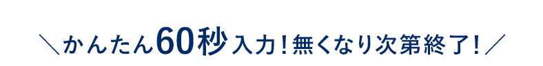 かんたん60秒入力！無くなり次第終了！