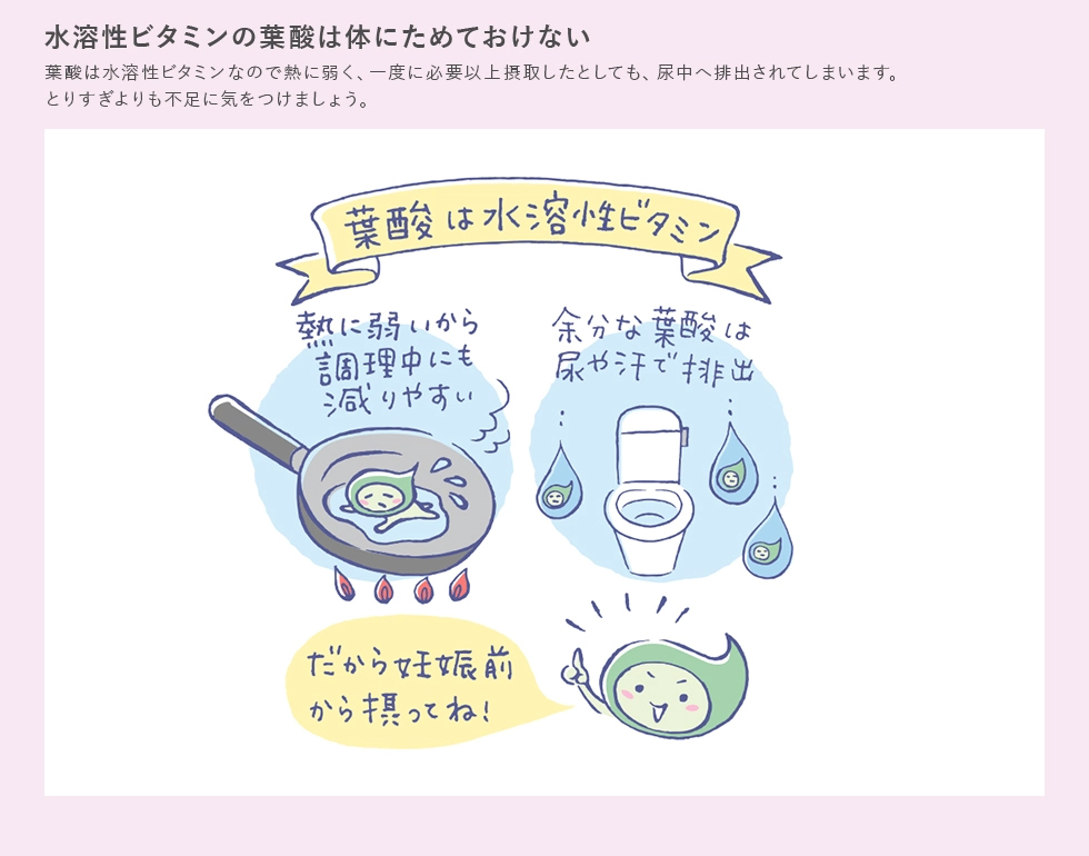 水溶性ビタミンの葉酸は体にためておけない