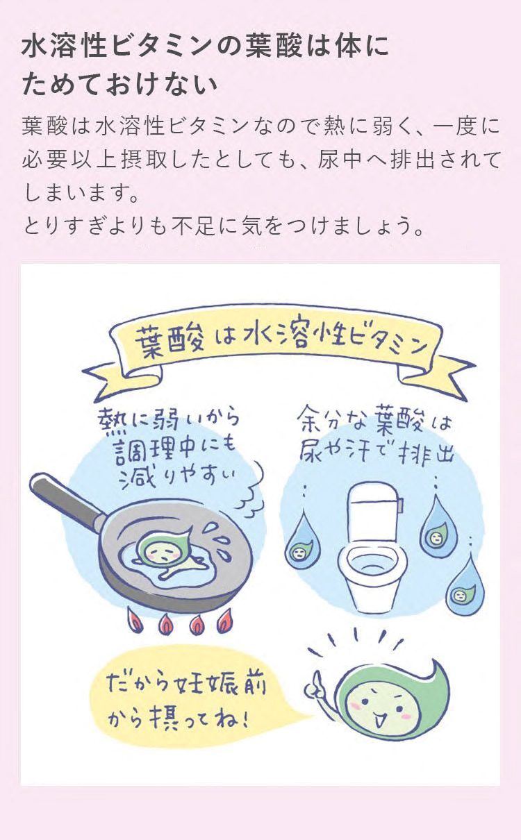 水溶性ビタミンの葉酸は体にためておけない